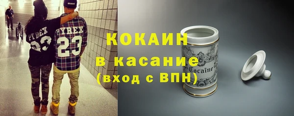 прущие грибы Абаза