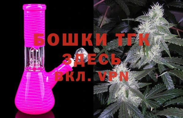 прущие грибы Абаза