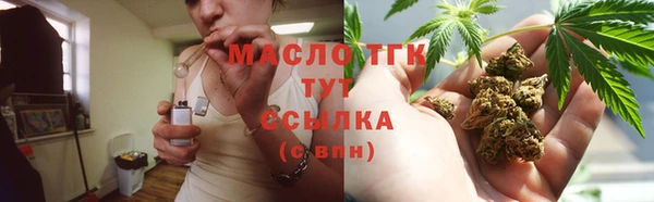 прущие грибы Абаза