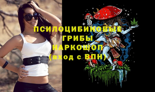 МДМА Алексеевка