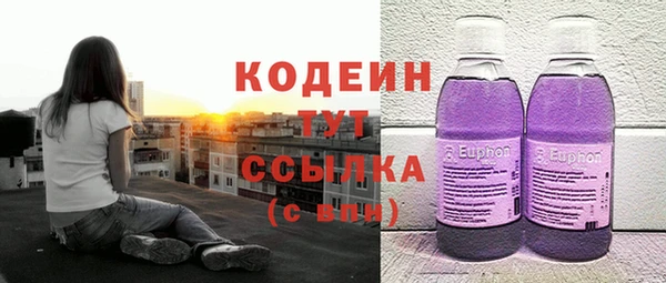 прущие грибы Абаза