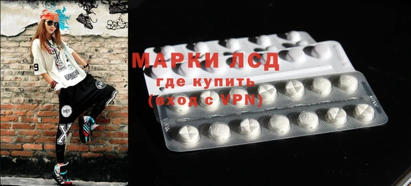 прущие грибы Абаза